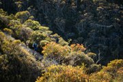 Ultra-Trail Australia by UTMB - 2022 Race Highlights