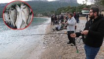 Antalya'da balık havuzunun patladığını duyan, oltalarıyla sahile koştu: Boş yok, at ve çek yapıyoruz