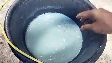 sabun colek cuci piring