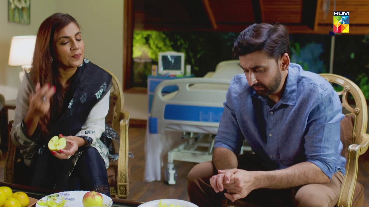 Tinkay Ka Sahara, Episode #19, HUM TV Drama, HD Full Official Video - 30 January 2023