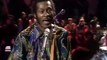 Rock and Roll Music - Chuck Berry & Rockin' Horse (live)