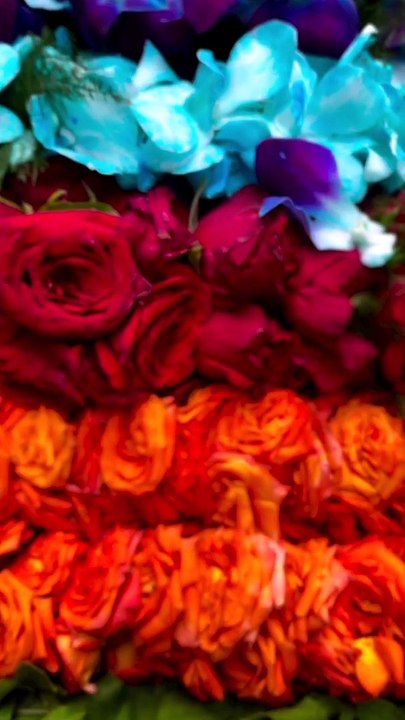 khatu shyam mandir new look khatu shyam mandir renovation khatu shyam ka mandir kab khulega khatu shyam kab khulega khatu shyam ji ka mandir kab khulega khatu shyam construction khatu shyam mandir renovation khatu shyam mandir construction khatu shyam ji