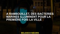À Rambouillet, les bactéries de mer illuminent la ville pour la première fois