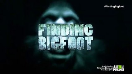 Buscando al pie grande temporada 9 - 1 Activar sub