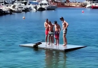 Une otarie veut jouer avec des humains... mais pas eux