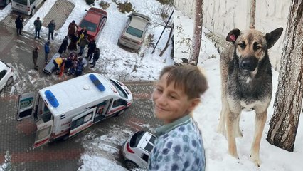 Van'ın Tuşba ilçesinde köpeğin saldırısına uğrayan 10 yaşındaki çocuk hayatını kaybetti