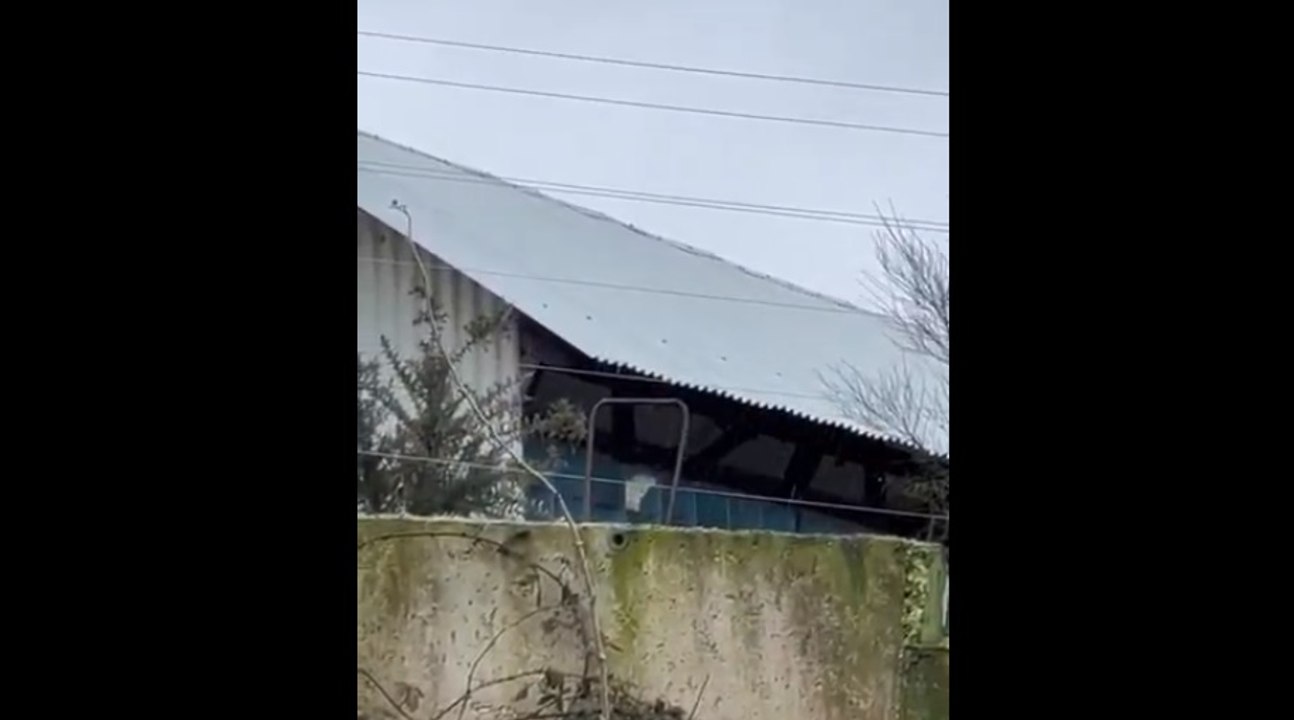 Granja en Carral, A Coruña vídeo de Carmela Fernández (Fundación Franz Weber)