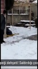 Yine sokak köpeği dehşeti...