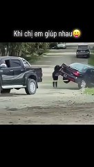 Cat & Dog Crazy Fun 🐾