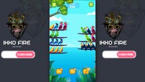 NOOB vs PRO vs HACKER - Bied Sort Color Puzzle - Gameplay - Bird Sort -  Ikko Fire - Video Game