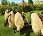 Shaun the Sheep Shaun the Sheep E048 – Bagpipe Buddy