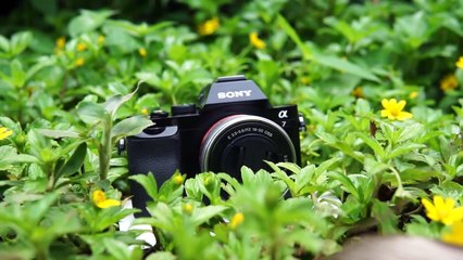 Kamera Fullframe Termurah Saat ini_ Layak Dibeli _ Review Sony A7 _ A7 Classic