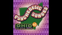 V/A — Psychedelic States: Ohio In The 60’s, Vol.3 [2005] (USA, Garage/Psychedelic Rock)