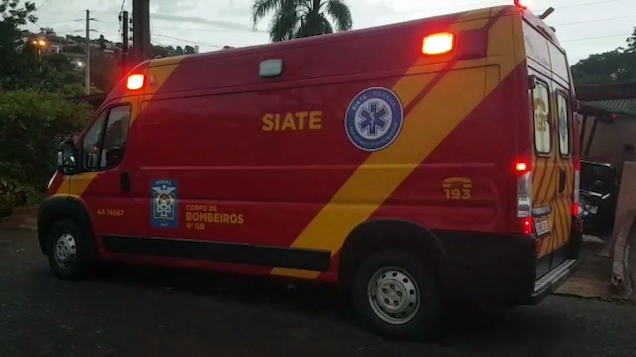 Ataque de animal deixa vítima ferida na Rua das...