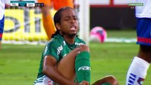 Palmeiras x São Caetano (Campeonato Paulista 2018 10ª rodada)