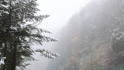 [날씨] 예년보다 온화, 서울 낮 7℃...오후부터 강원 눈 / YTN