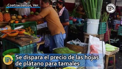 Se dispara el precio de las hojas de plátano para tamales