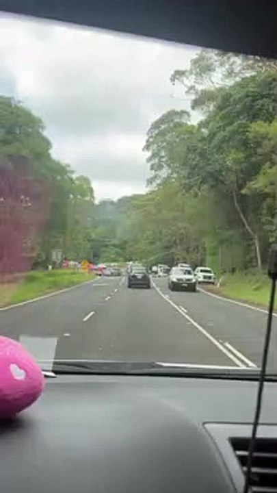 An overturned truck covered Bulli Pass with paint causing traffic chaos/Illawarra Mercury/31.1.23