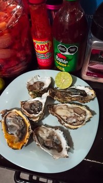 Preparando ostiones con limon sal y salsa de chile receta de cocina tradicional de mariscos de el mar playa