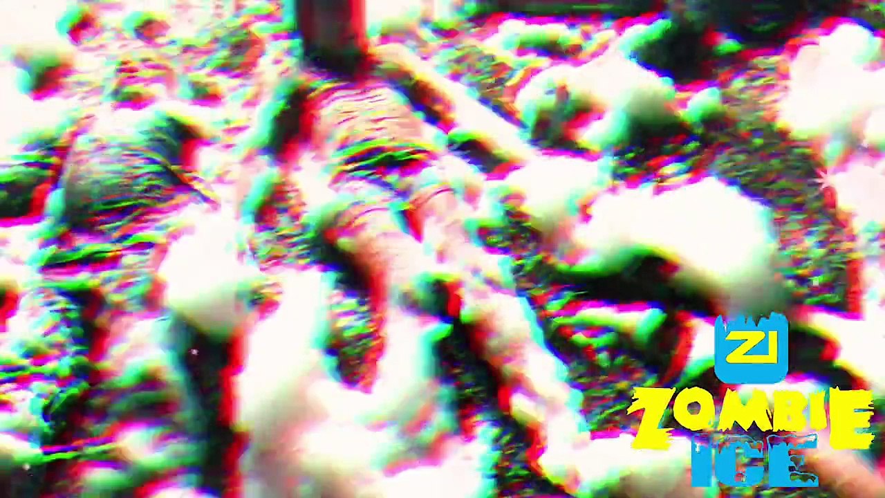 Birthday Party Broward County 2023  Birthday Party Weston, South Florida