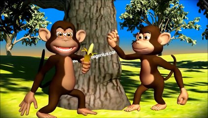 Our Teeth -Types & Structure - Kids School Education Video