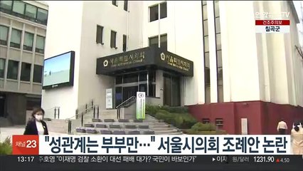 "성관계는 부부만…" 서울시의회 조례안 논란