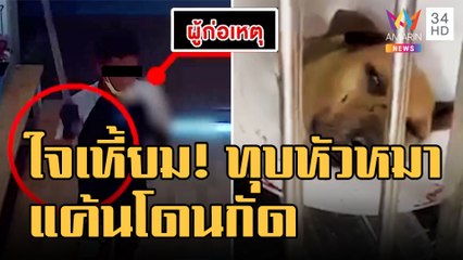 หนุ่มใจเหี้ยม! ควงไม้หน้าสามทุบหัวหมา อ้างแค้นถูกกัด | ข่าวเที่ยงอมรินทร์ | 31 ม.ค.66