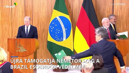 Újra támogatja Németország a brazil esőerdők védelmét