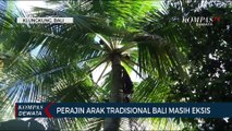 Perajin Arak Tradisional Bali Masih Eksis