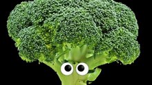BROCCOLI The Spelling Practice