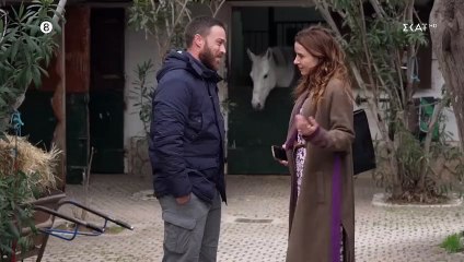 Άγρια Γη - Eπεισόδιο 93 (HD)