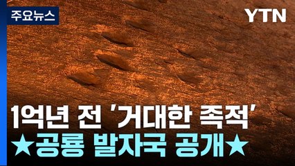 1억 년 전 찍힌 '거대한 족적'...'군산' 공룡 발자국 일반에 공개 / YTN