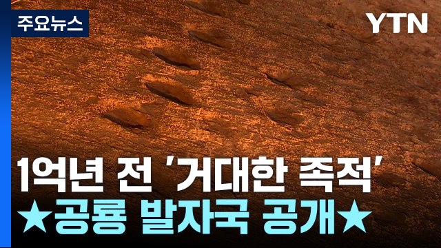 1억 년 전 찍힌 '거대한 족적'...'군산' 공룡 발자국 일반에 공개 / YTN