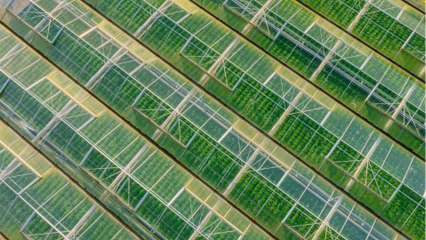 Les fermes géantes vont se multiplier dans nos campagnes