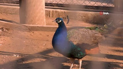 Yarıyıl tatilinde Tarsus Doğa Parkı'na yoğun ilgi