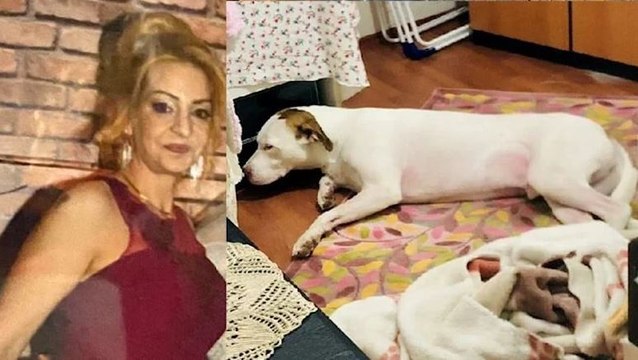 Yalnız yaşayan kadın ölü bulundu; Köpeği uzun süre başında bekledi
