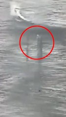 겨울 바다 뛰어든 모녀…경찰, 30ｍ 따라 들어가 구조했다