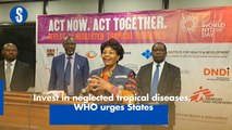 Invest in neglected tropical diseases, WHO urges States