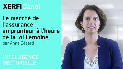 Le marché de l'assurance emprunteur à l'heure de la loi Lemoine [Anne Césard]