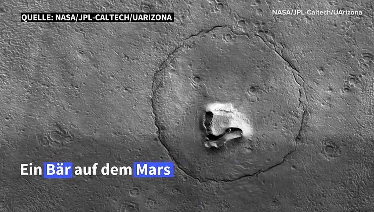 Ein Bär auf dem Mars