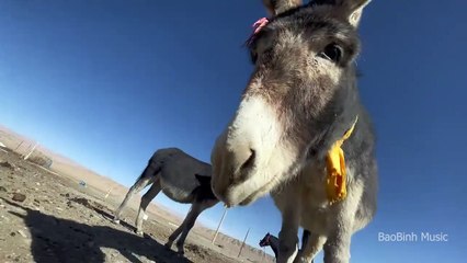 Track1 Bass Boosted Car Music 2023 🎵