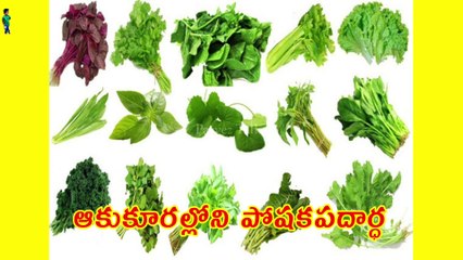 Nutrient considerations in leafy vegetables  / ఆకు కూరల్లో పోషక పదార్దాల జాగ్రత్తలు