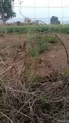 सलाह मानते तो नहीं आती ऐसी नौबत