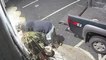 Moment thief steals life-size gorilla statue from antique shop