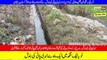 Toba Tek Singh Canal Water Blockage affected other crops including wheat and garden