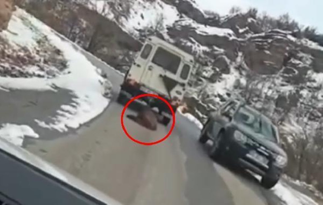 CİPİN ARKASINDAKİ ÖLÜ DOMUZU KÖYDEKİ SAHİPSİZ KÖPEKLER İÇİN TAŞIMIŞ