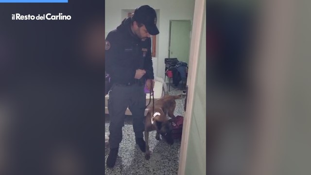 Immigrazione clandestina: l'operazione della polizia