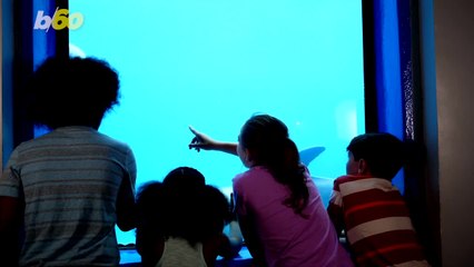 Zoos are Good for People Too