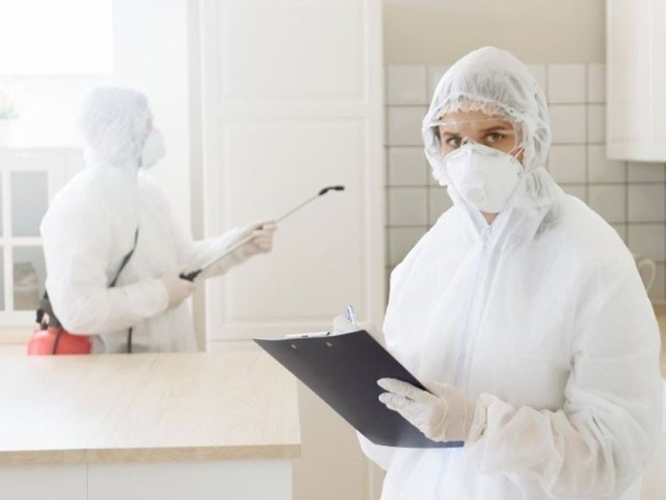 Schimmelflecke: So wird man die nervige Plage am besten los