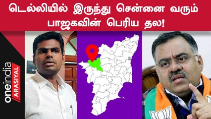 Erode இடைத்தேர்தல் விவகாரத்தில் முக்கிய முடிவெடுக்க சென்னை வரும் பாஜக தலைவர்!